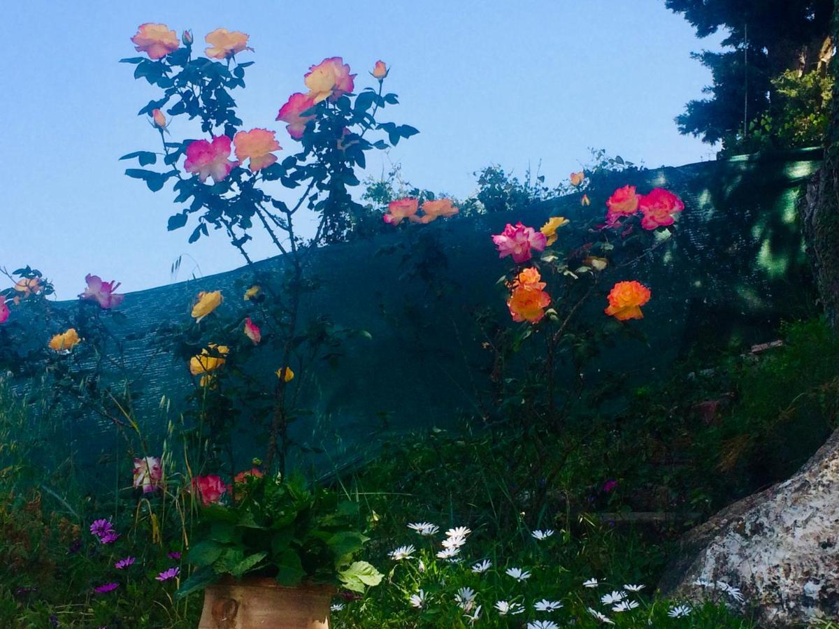 Ermones Odyssesas Bungalow Vatos Bagian luar foto
